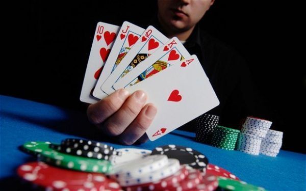 CasinoBee کیسینو میں بکراٹکھیلیں
